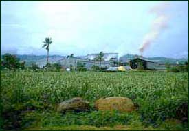 Most sugar processing plants are old and inefficient, belching smoke over the countryside. This plant on Leyte is quite similar to those on Negros. 
